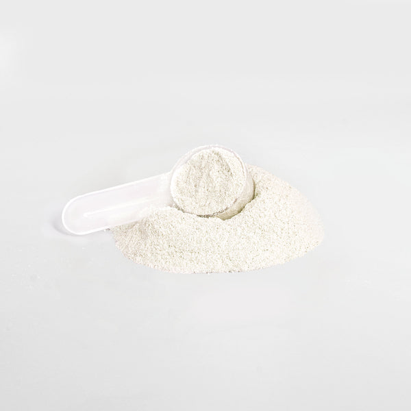 ELEV8 Pre Workout Powder (Yuzu Flavor)