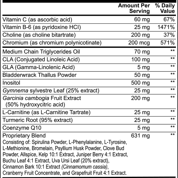 ELEV8 Fat Burner